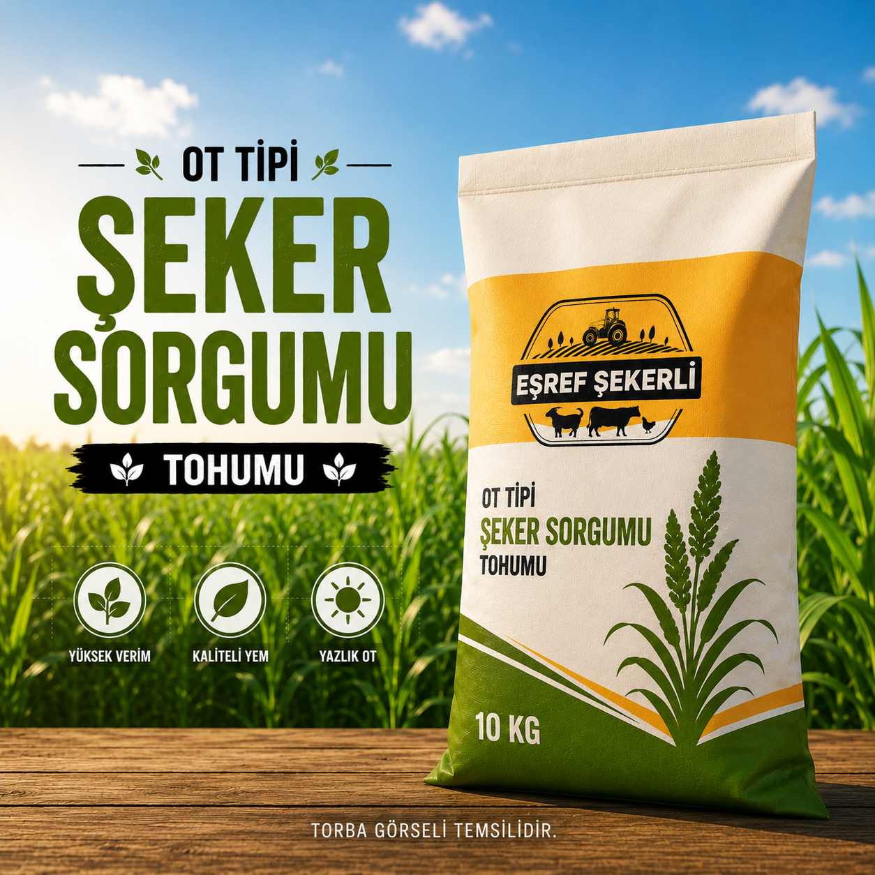 Ot Tipi Şeker Sorgumu 10 Kg.