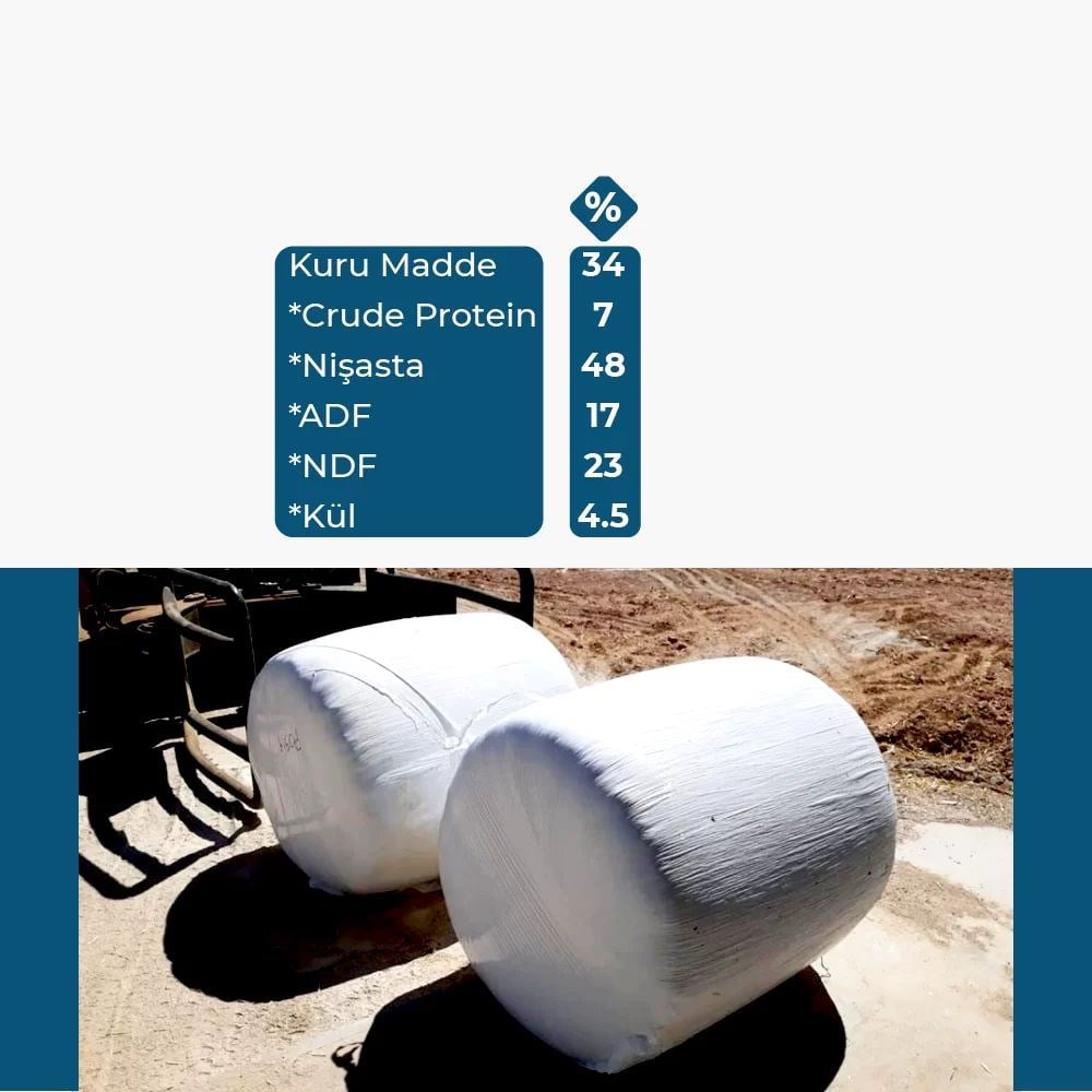 Patates Silajı (Güncel Fiyat Alınız)