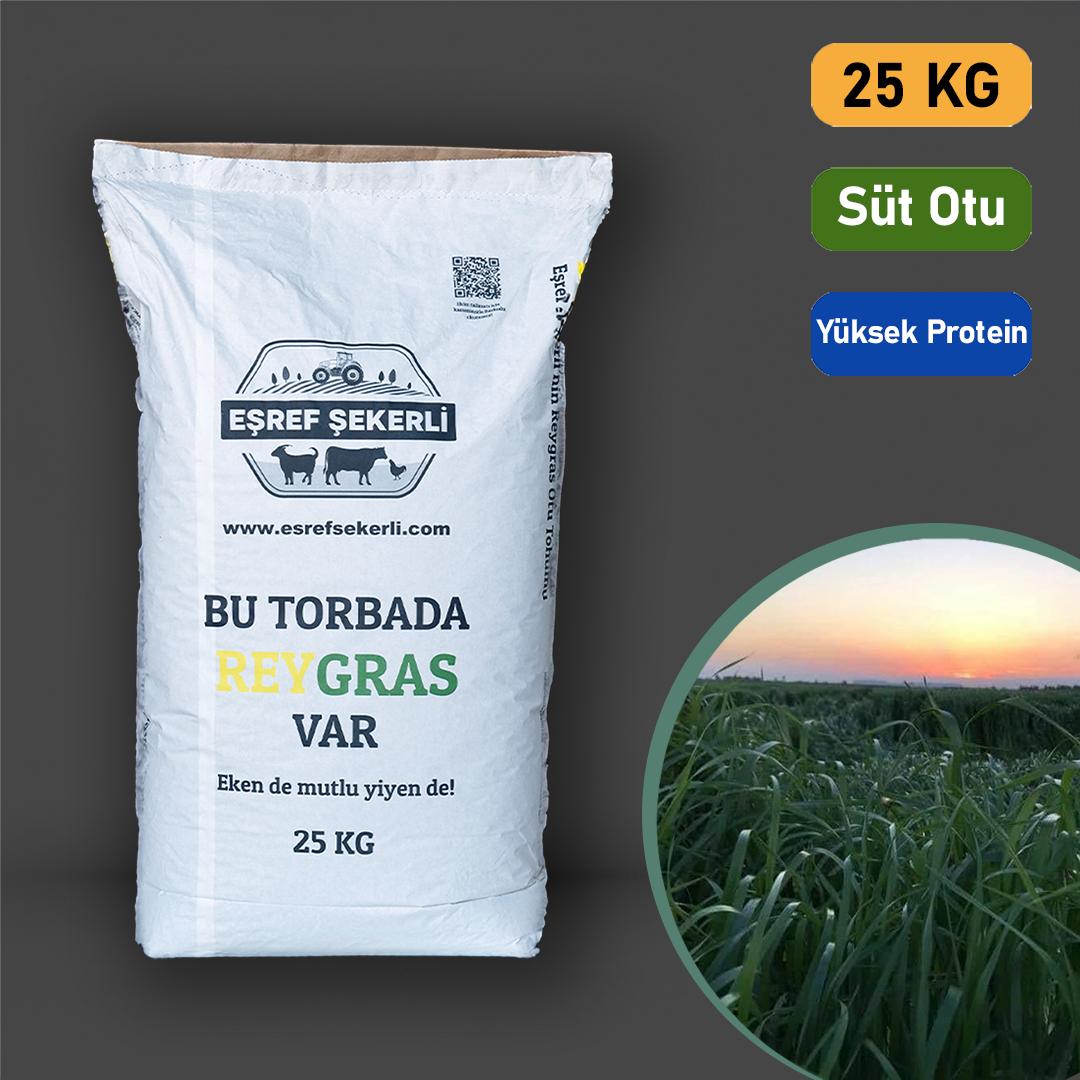 Reygras Otu Tohumu 25 Kg.
