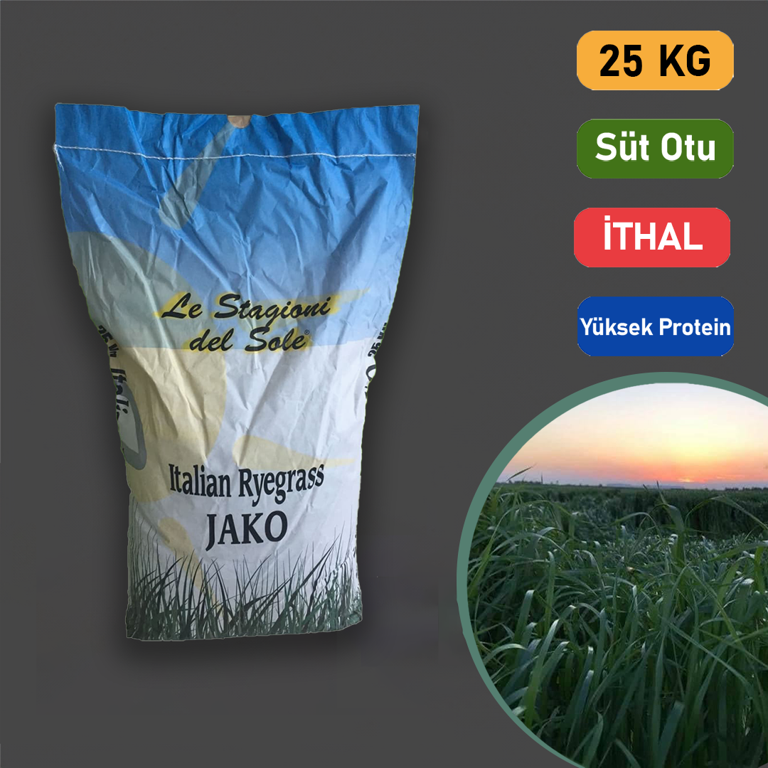 Reygras Otu Tohumu İthal 25 Kg.