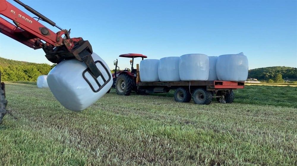 Reygras Silajı (Güncel Fiyat Alınız)