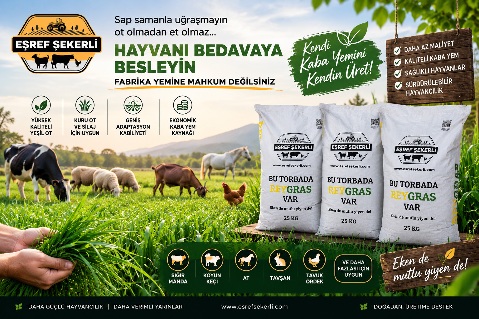 Eşref Şekerli Reygras Otu Tohumu
