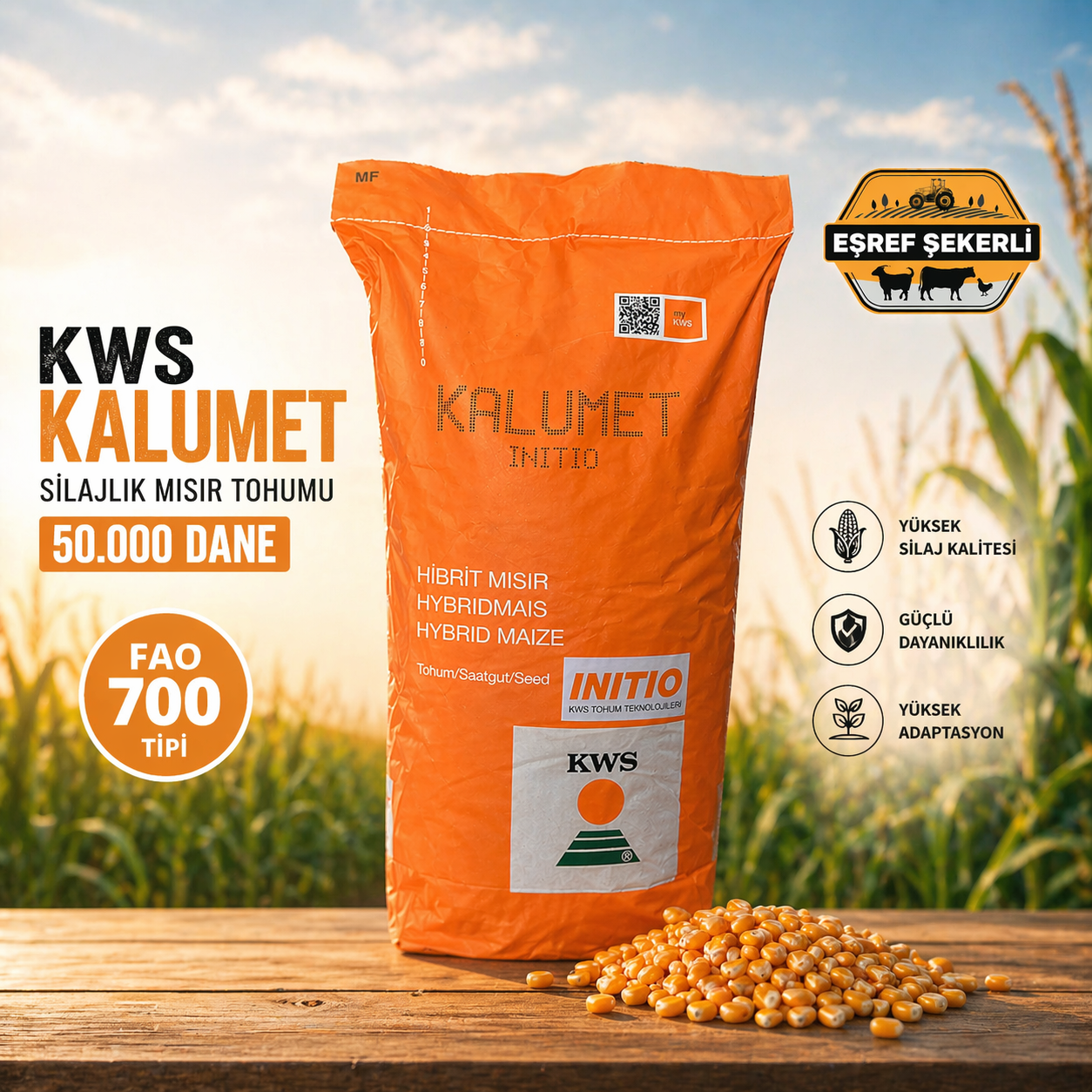 KWS Kalumet Silajlık Mısır Tohumu