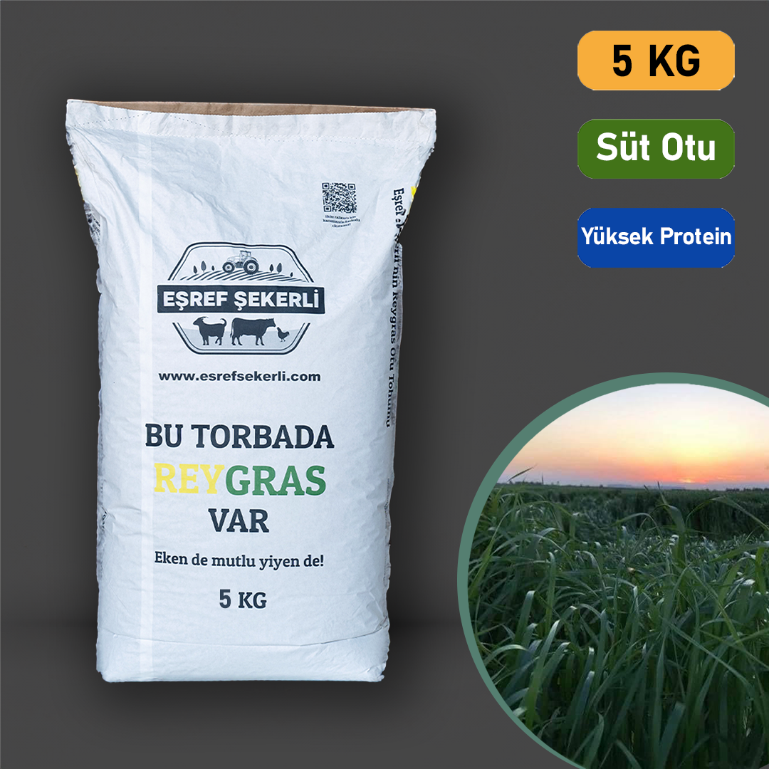 Reygras Otu Tohumu 5 Kg.