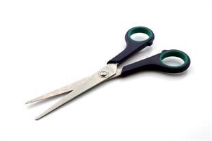 Plastik Saplı Makas-Ufak