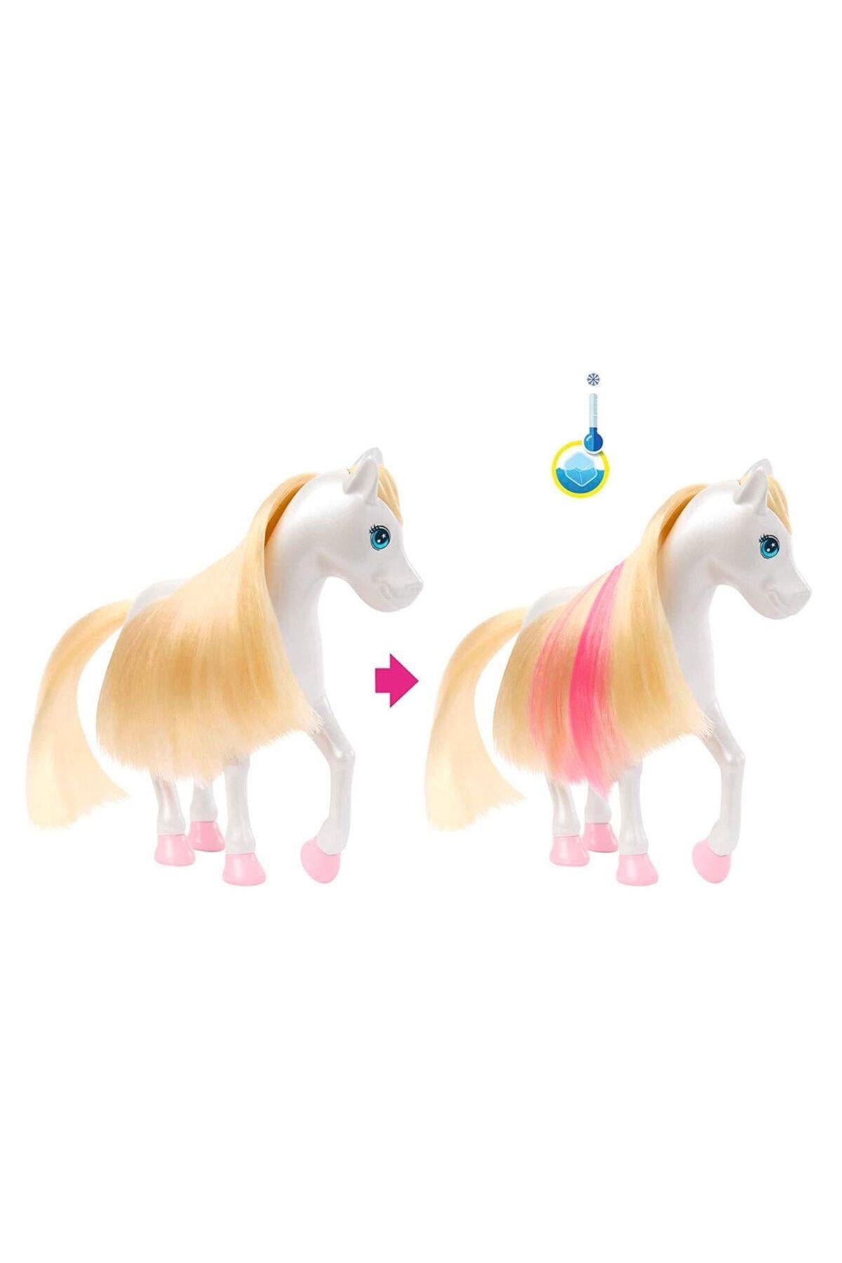Barbie A Touch Of Magic Chelsea ve Pegasus Oyun Seti HNT67-Oyuncak Bebekler