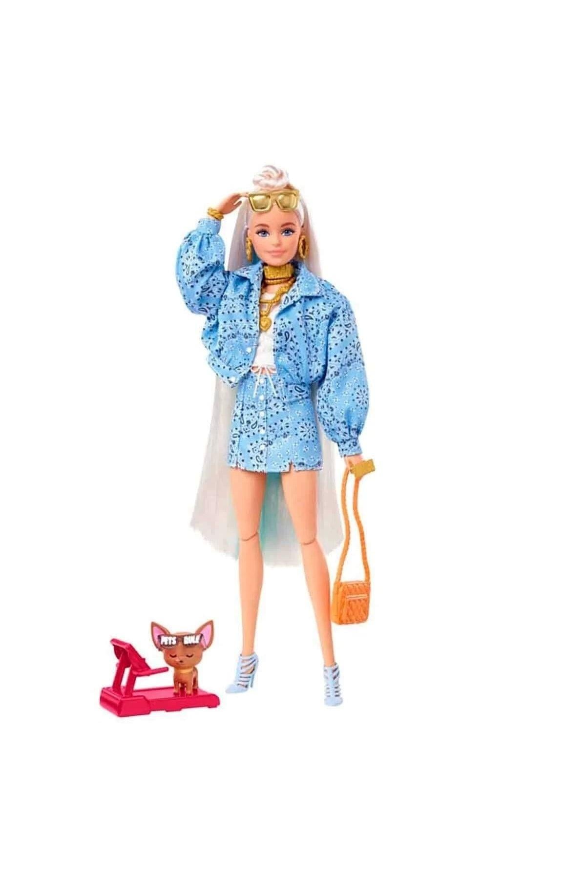 Barbie Ekstra Bebek Ve Aksesuarları Hhn08-Oyuncak Bebekler