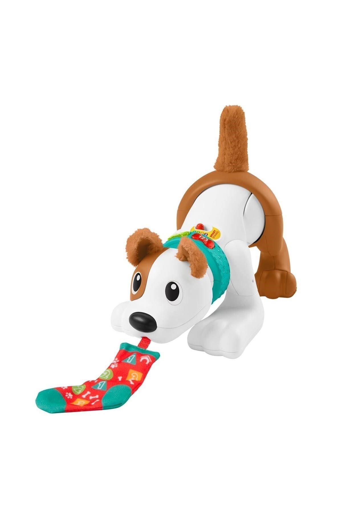 FISHER PRICE Emeklemeyi Ve Saymayı Öğreten Köpekçik-Hayvan Figürleri