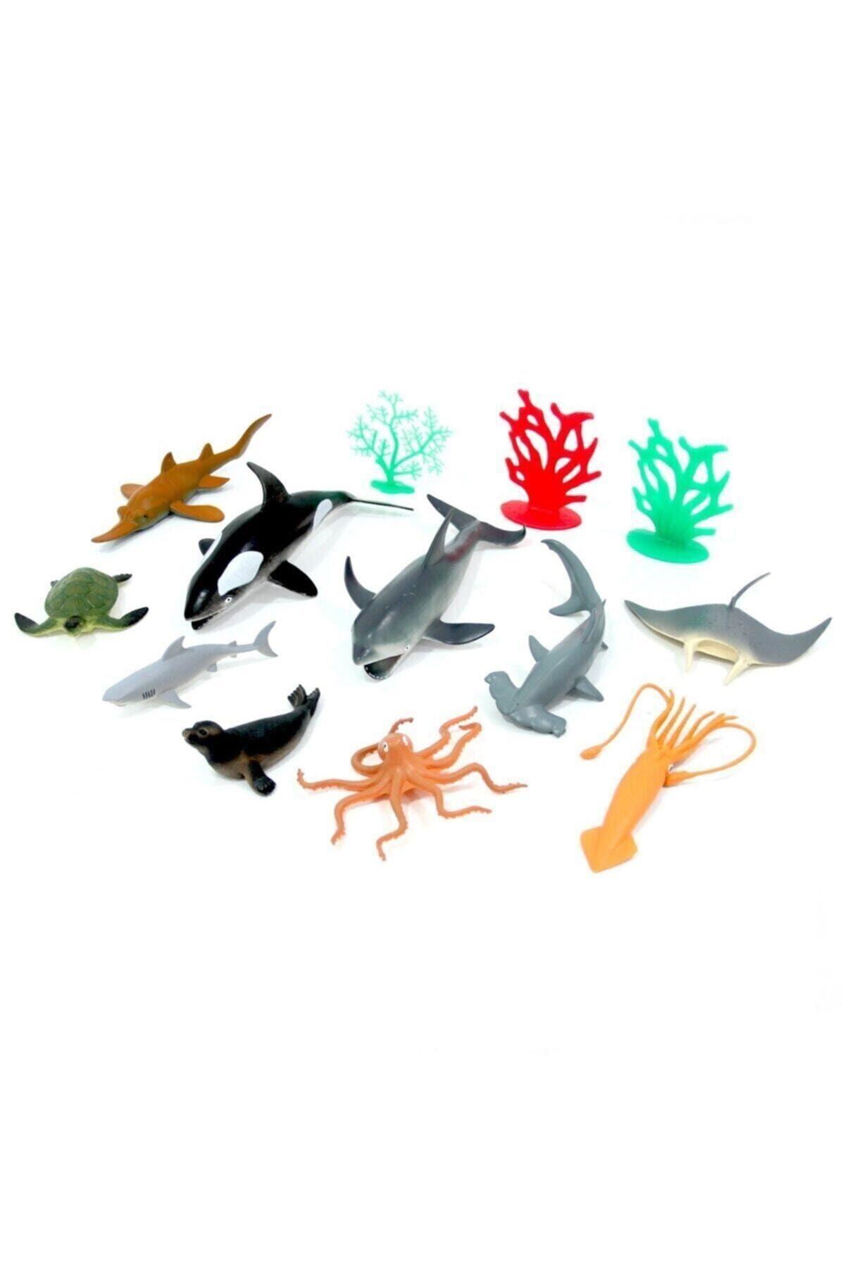 Oyuncak Okyanus Hayvanları Seti-Hayvan Figürleri