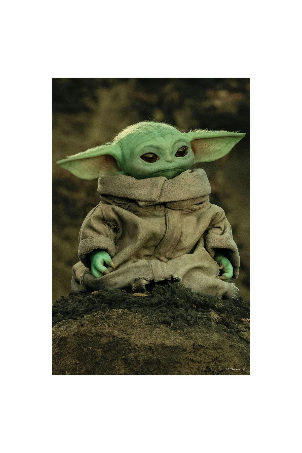 Star Wars The Mandalorian Grogu Puzzle 300 Parça 33095-Eğitici Oyuncak