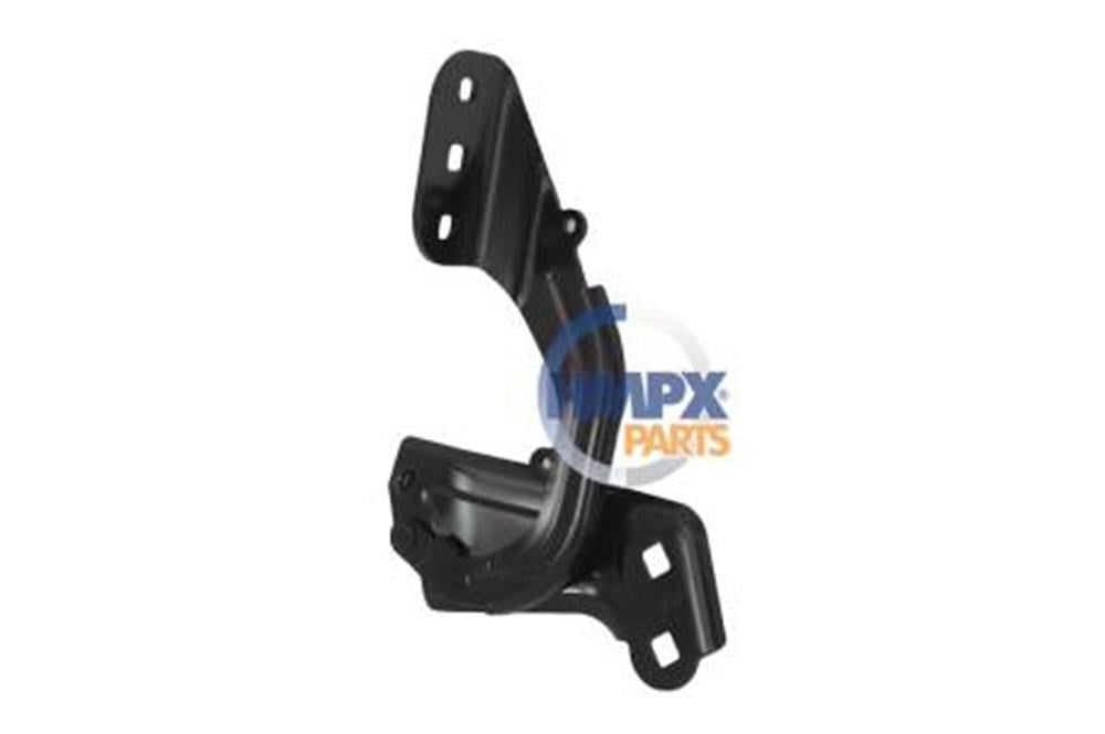 FOCUS 11- KAPUT MENTEŞESİ SOL 1750018