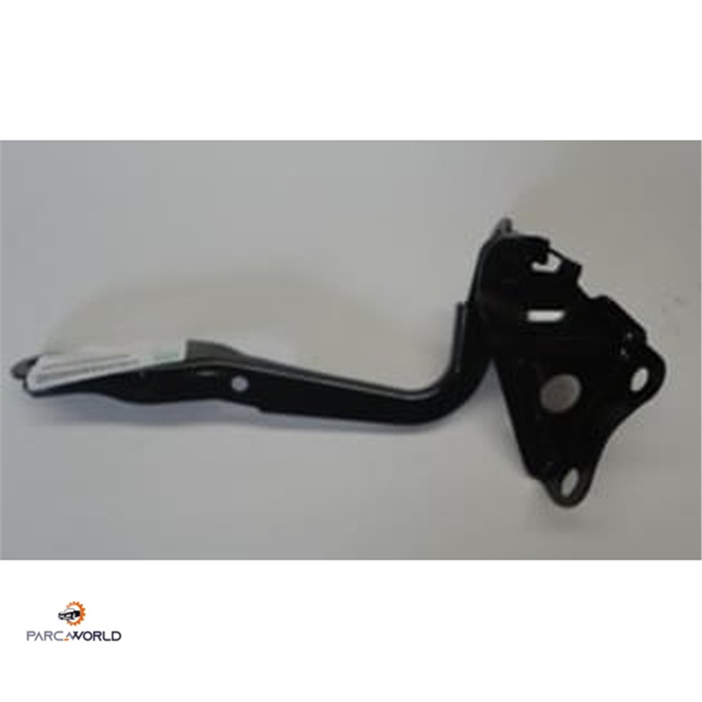 TOYOTA RAV4- 06/09; KAPUT MENTEŞESİ SOL TARAF 
