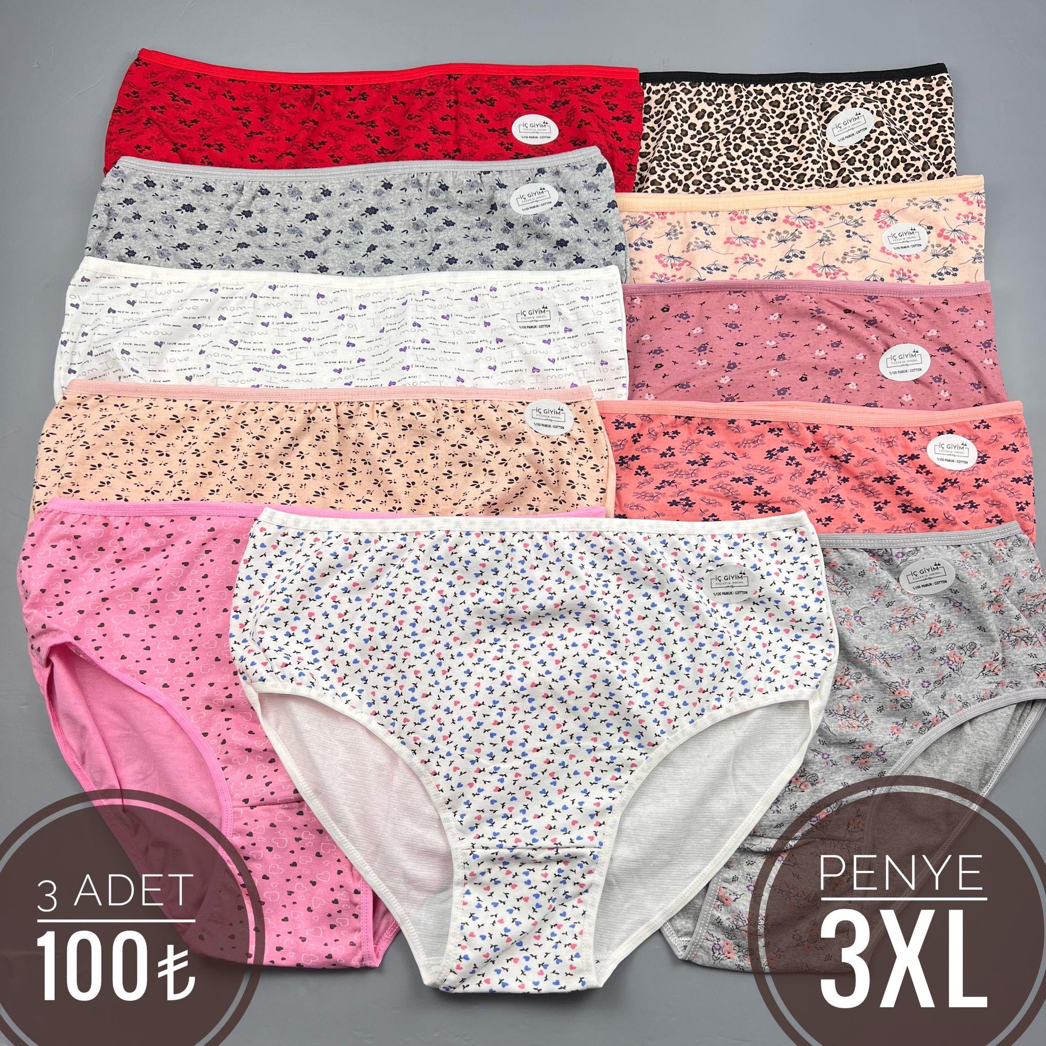 3 Lü Fts Bayan 3XL Beden Külot-Karışık Renk