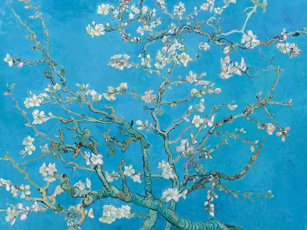 Vincent van Gogh’un “Almond Blossoms” (1890) Eseri: Baharın ve Umudun Görkemli Temsili