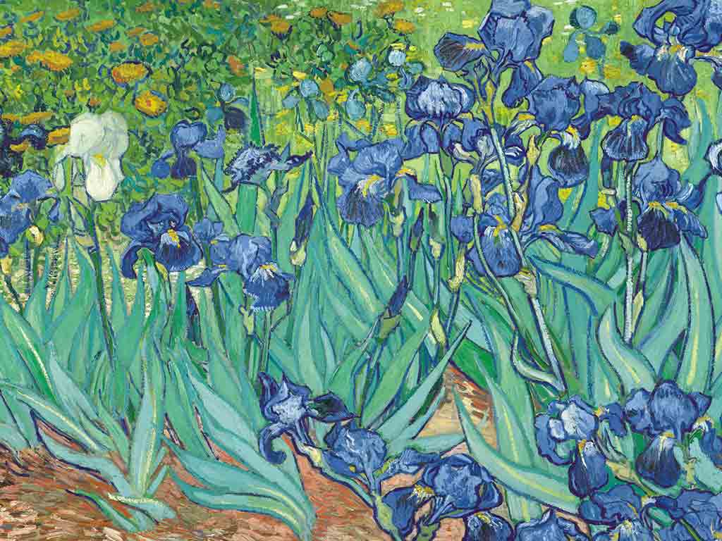 Vincent van Gogh’un “Irises” (1889) Eseri: Renklerin ve Doğanın Büyüsü