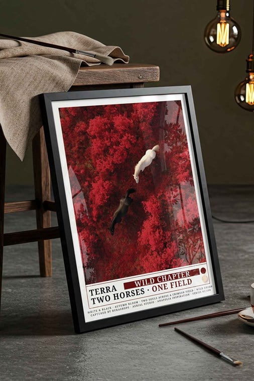 Çift At Tablosu Kırmızı Sonbahar Ormanı – TERRA Havadan Sanat Posteri – Siyah Çerçeveli