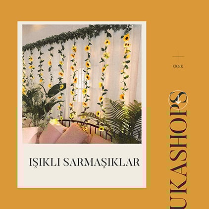 Işıklı Sarmaşıklar Banner