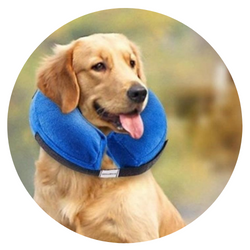 Köpek Ergonomik Boyunluk