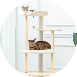 Kedi Kulesi Kedi Ağacı Modelleri