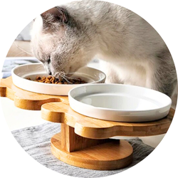 Kedi Mama ve Su Kabı Standı
