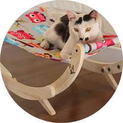 Kedi Yatakları ve Minderleri