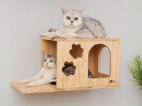 Duvar Evi & Tırmanma