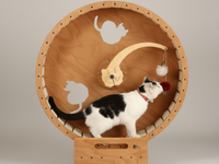 kedi-egitici-oyuncak