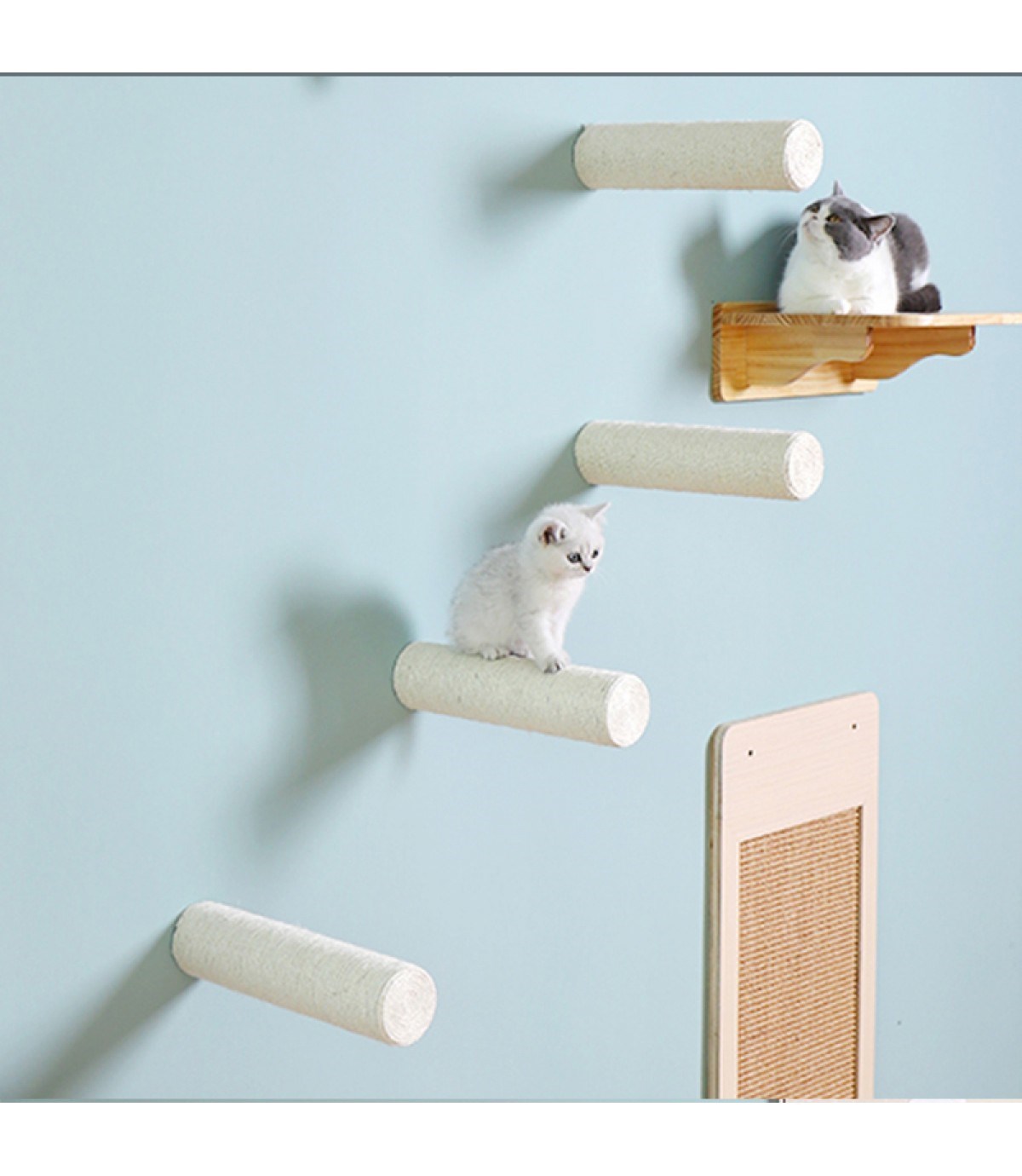 Kedi Duvara Asılabilir Tırmalama dalı BuShop Duvar Dalı  Yapay kedi Dalı  Peri Bacaları