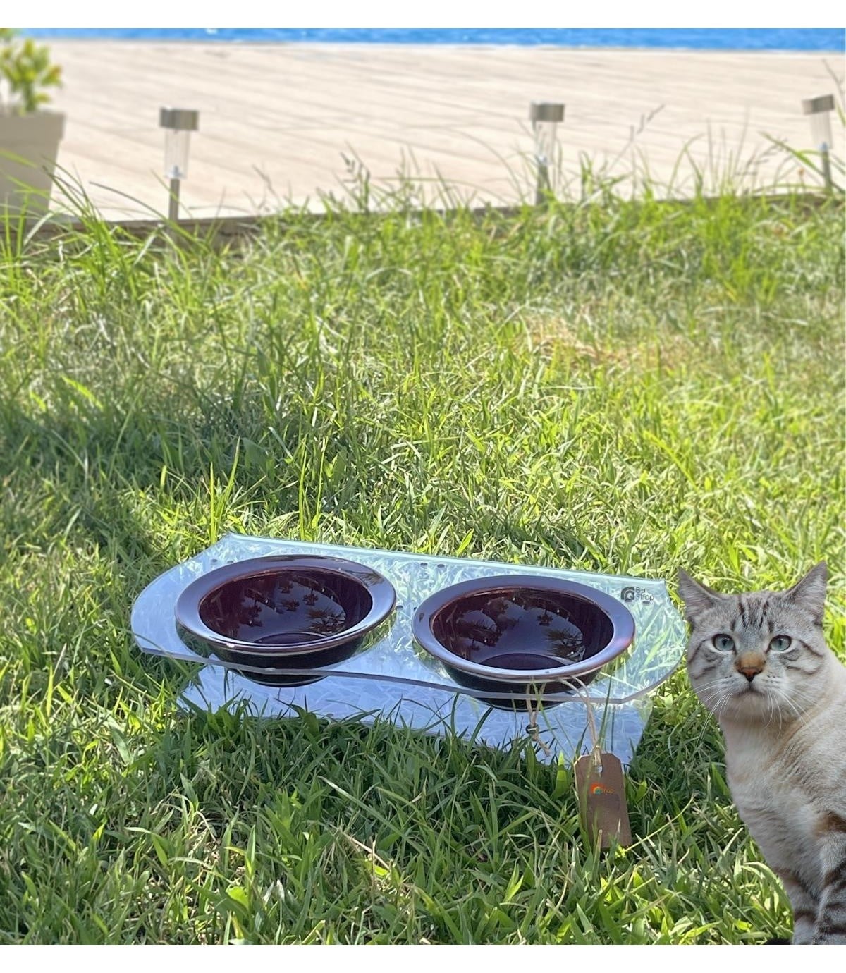 Köpek Kedi Mama Ve Su Kabı-Seramik İki Adet Kase Hediyeli-Yeni Nesil-Pleksiglas-Şeffaf-BuShop Ghost