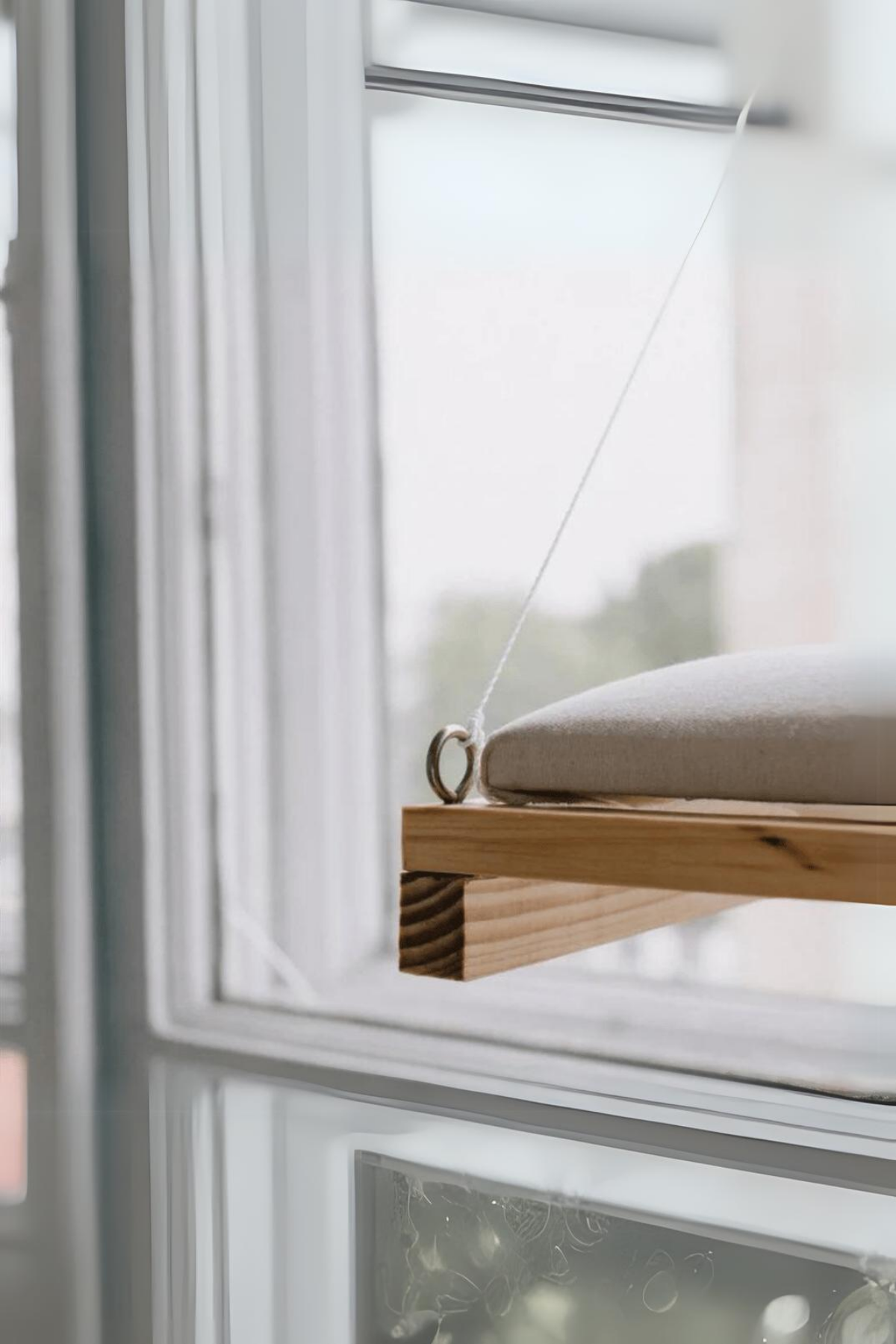  Kedi Yatağı  Cama Asılan ve  Minder Hediyeli (vantuzlu) Pro Serisi BuShop 