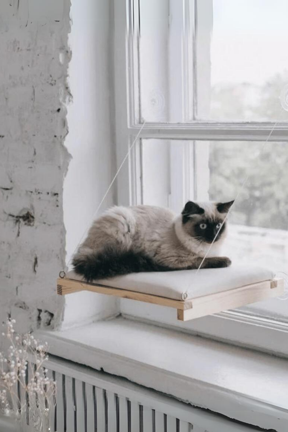  Kedi Yatağı  Cama Asılan ve  Minder Hediyeli (vantuzlu) Pro Serisi BuShop 