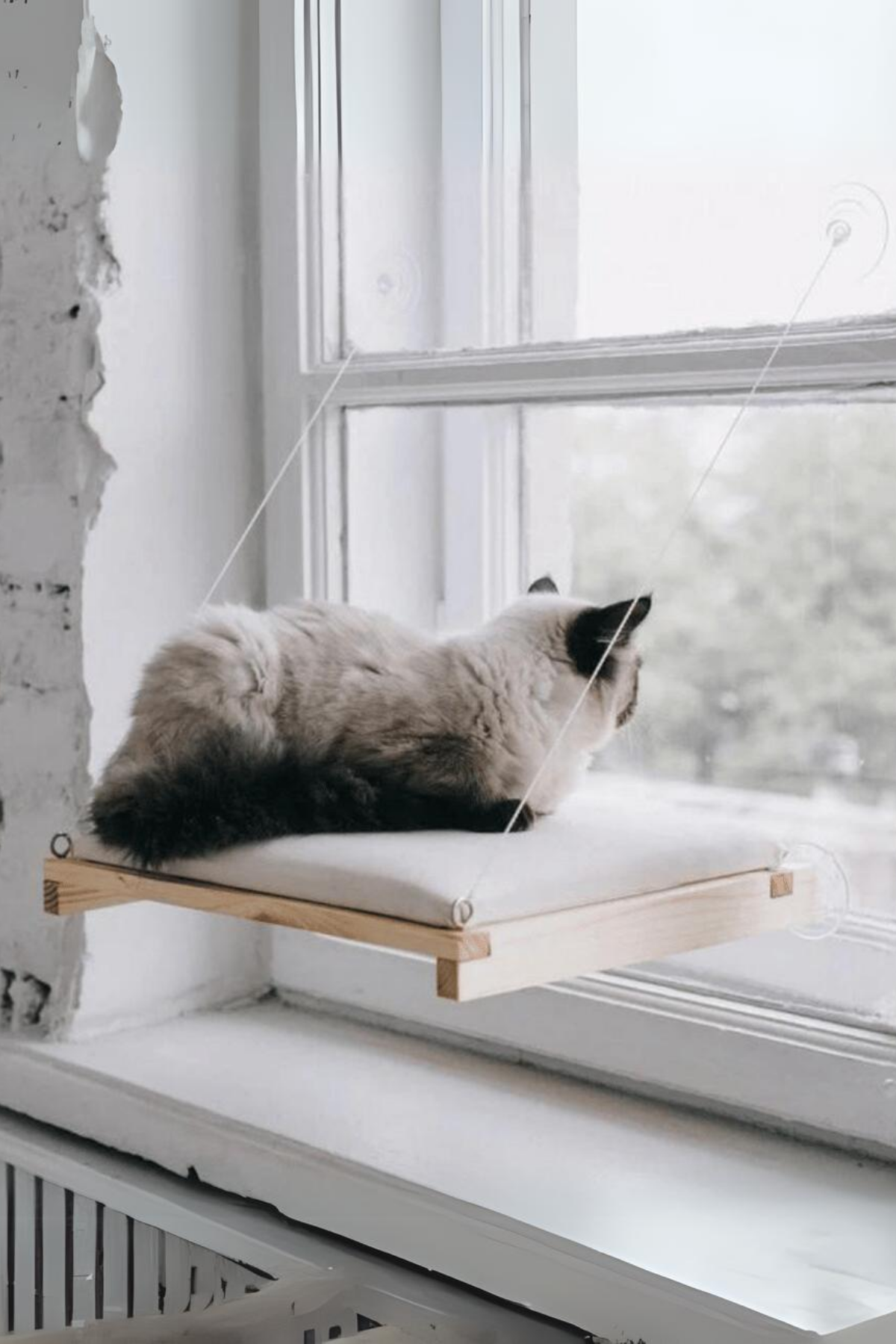  Kedi Yatağı  Cama Asılan ve  Minder Hediyeli (vantuzlu) Pro Serisi BuShop 