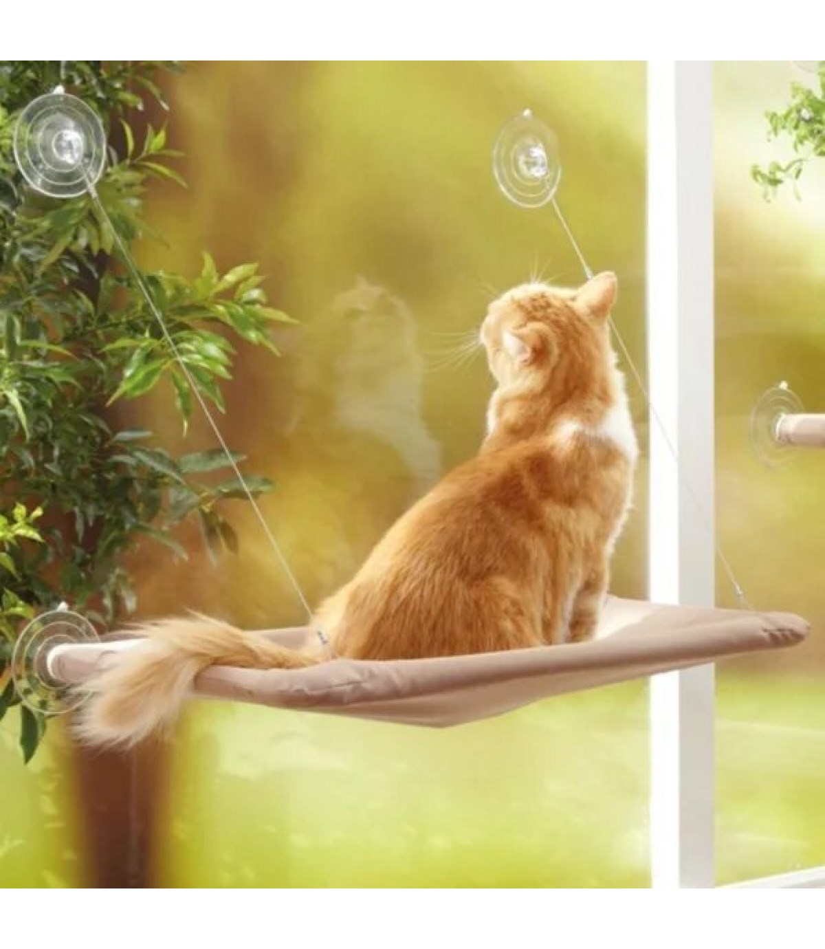 Cama Asılan Kedi Yatağı BuShop Minderi (vantuzlu)