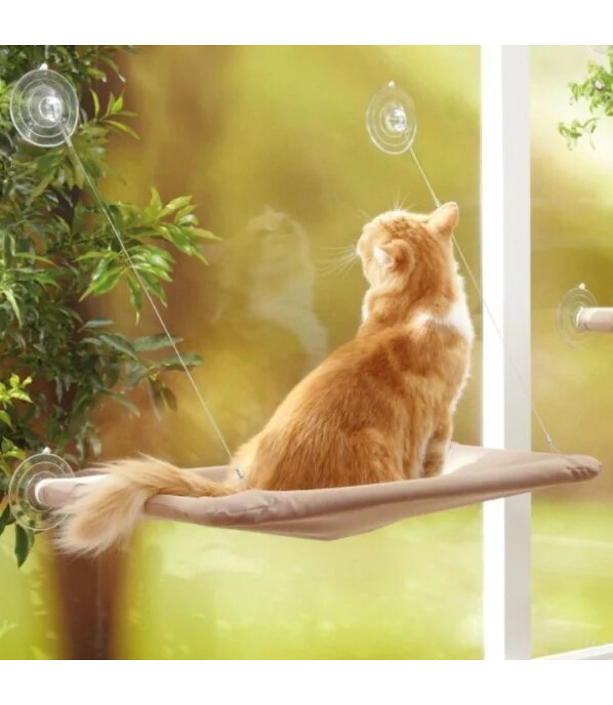 Cama Asılan Kedi Yatağı BuShop Minderi (vantuzlu)