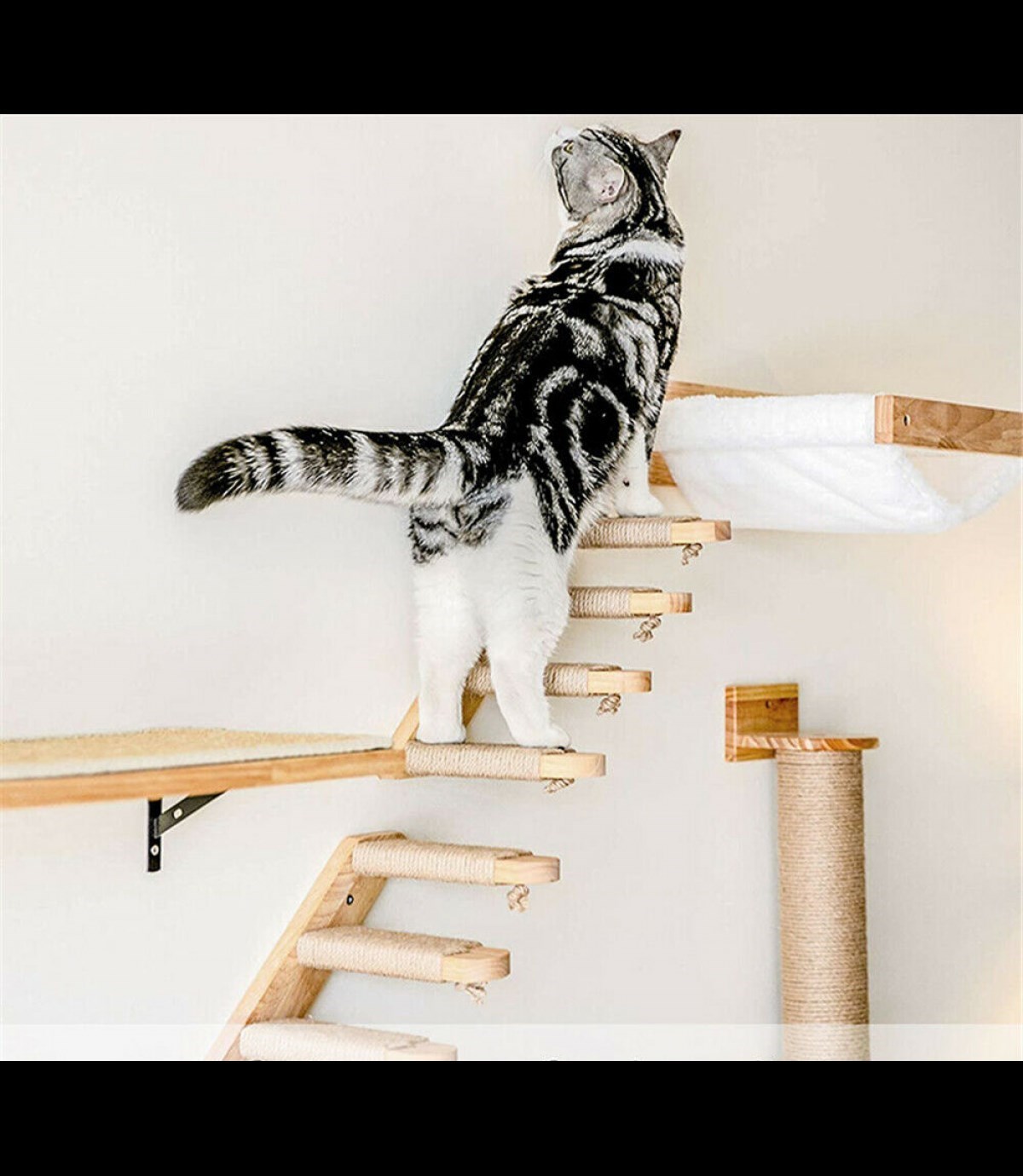 Doğal Kedi Tırmanma ve Tırmalama Merdiveni Ahşap tasarım Duvara Monte 2Lİ Sol Model