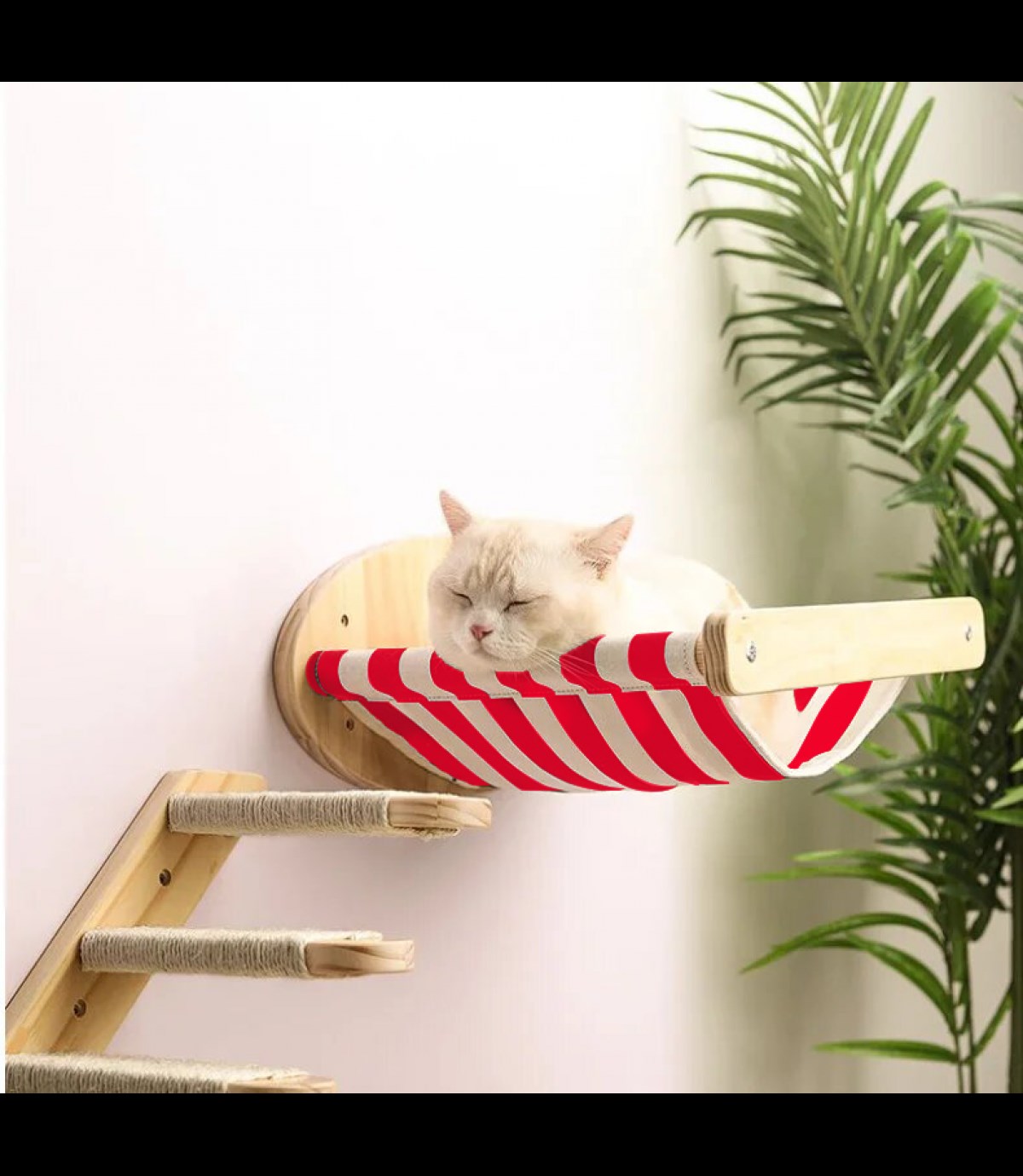 Kedi Yatağı, Kedi Yuvası, ve Kedi duvar yatağı, Kedi merdiveni, 2 adet Sağ Tip Kedi Tırmanma Merdiveni, 3lü Ahşap Set, BuShop Red Zebra Serisi