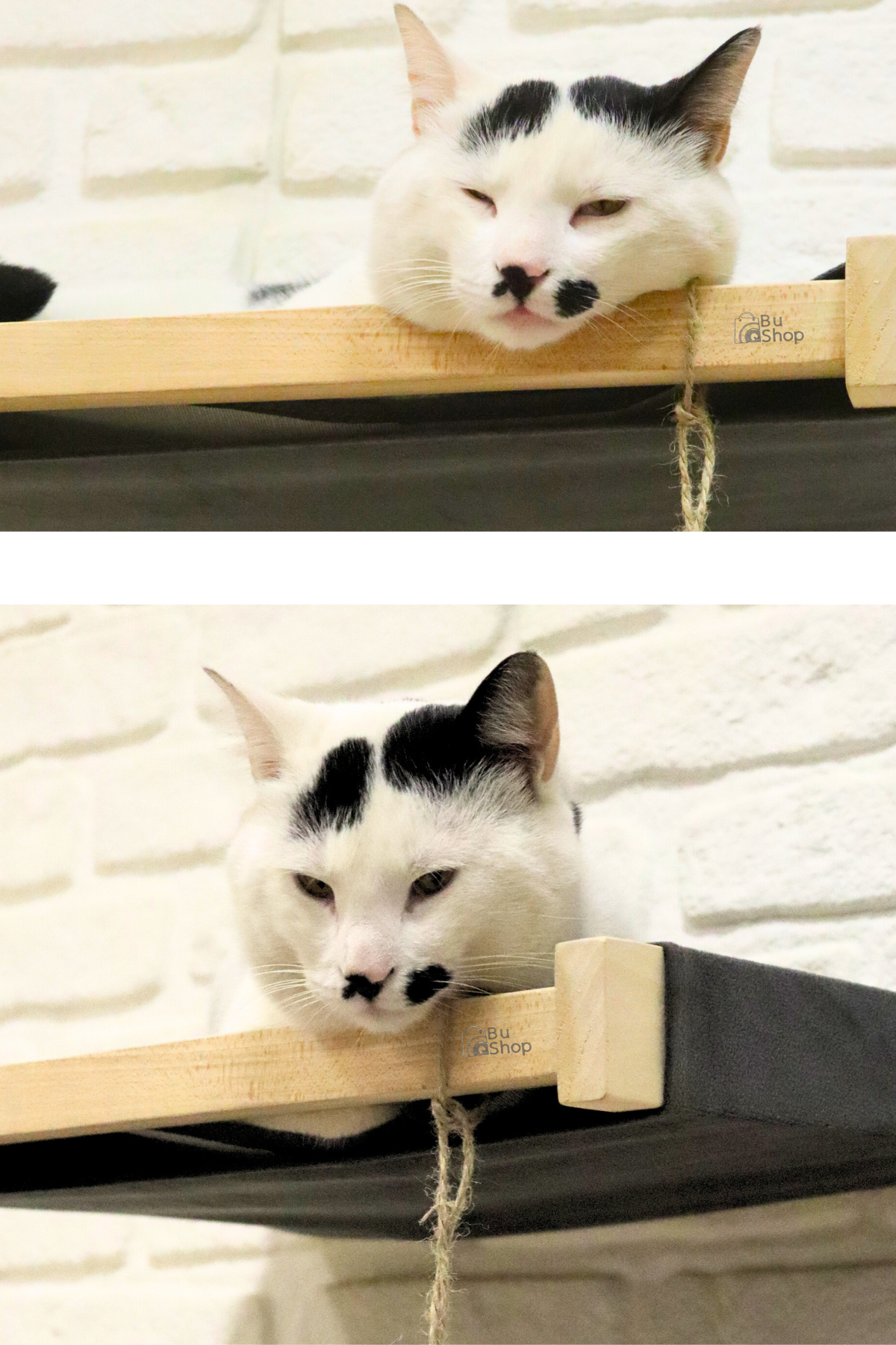 Kedi evi Kedi merdiveni ve Kedi yatağı takımı Duvara Monte Kedi Hamağı Bushop Kuş 6 Parça