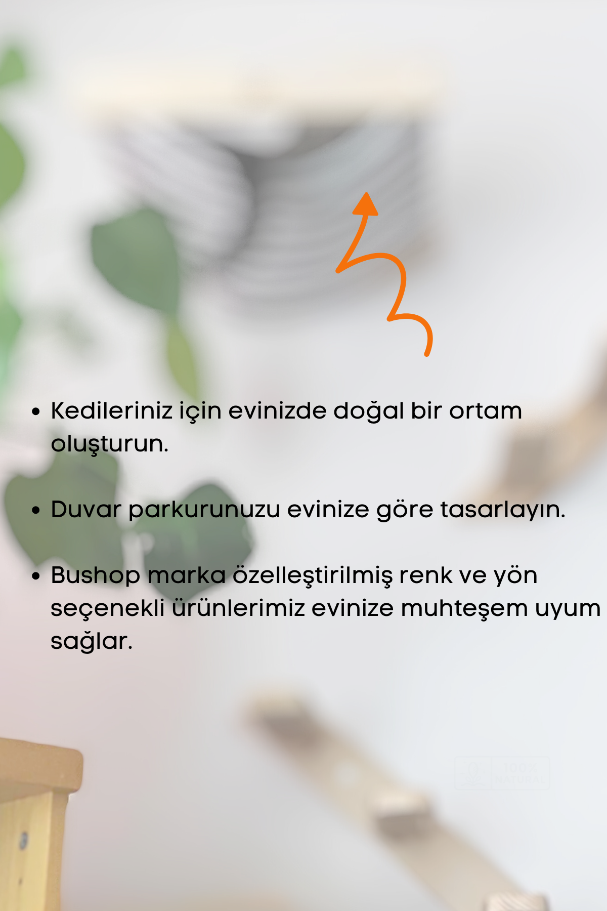 Kedi evi Kedi merdiveni ve Kedi yatağı takımı Duvara Monte Kedi Hamağı Bushop Kuş 6 Parça