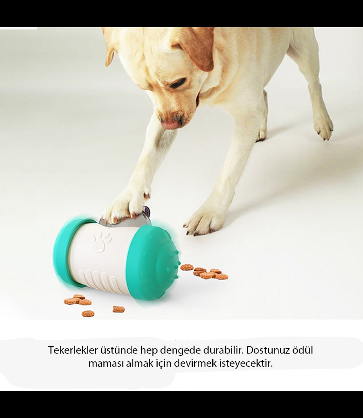 İnteraktif kedi köpek oyuncağı BuShop enerji harcatır  IQ Geliştirir Ödül maması verir  Asla devrilmez 
