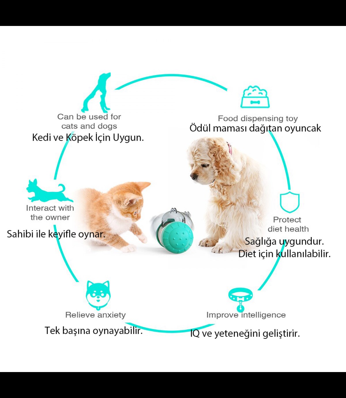 İnteraktif kedi köpek oyuncağı BuShop enerji harcatır  IQ Geliştirir Ödül maması verir  Asla devrilmez 