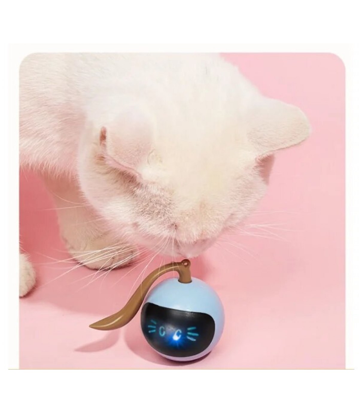İnteraktif Kedi Oyuncağı  BuShop Renkli Led Ekran  Kediden Kaçar  Kediler Yakalar  Usb Şarj 