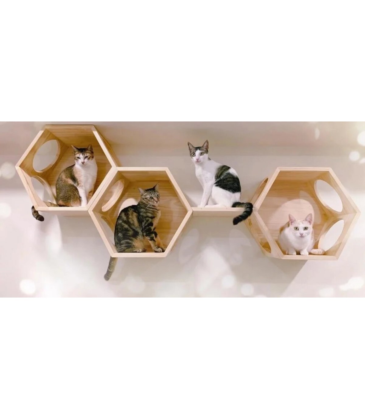 Kedi duvar yatağı, Kedi duvar parkuru, Kedi duvar evi, Petek Kedi Rafı, Birbirine eklenebilir, BuShop Ahşap Petek Tek Adet.