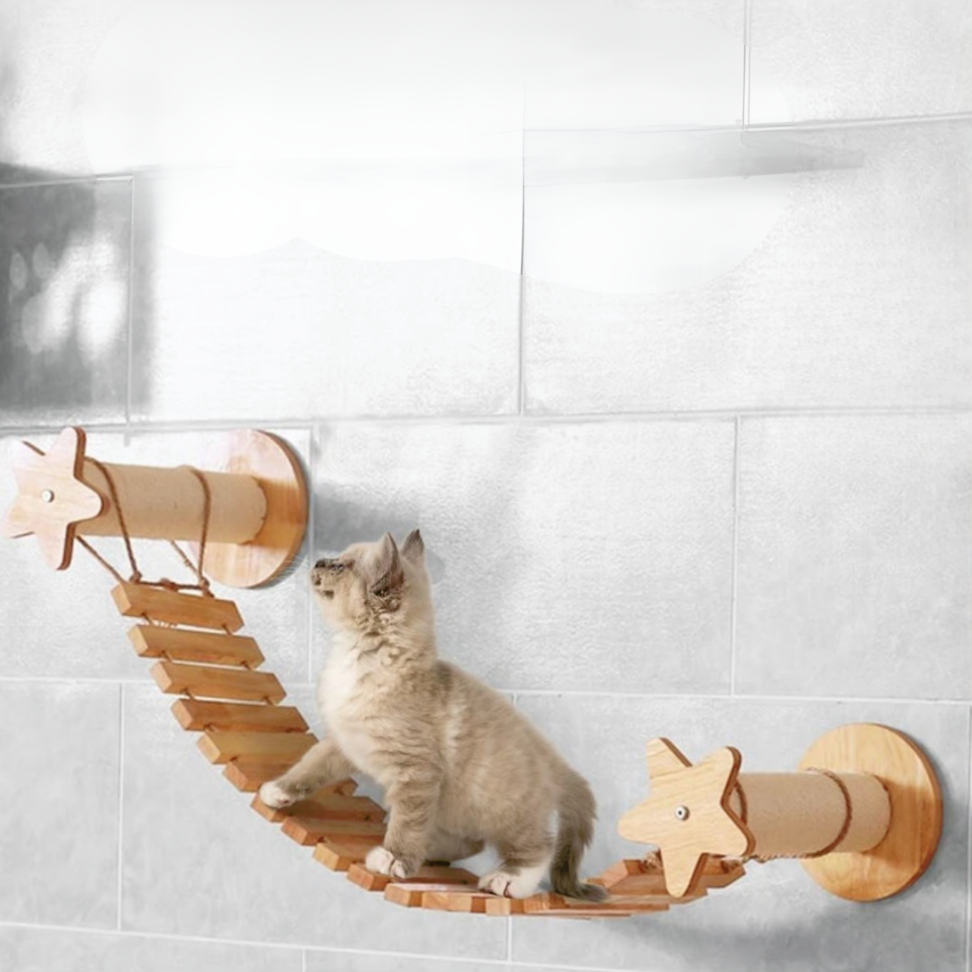Kedi duvar parkuru, Kedi duvar köprüsü, Kedi duvar yatağı, Kedi Duvar Rafı,Bushop Yıldız Serisi