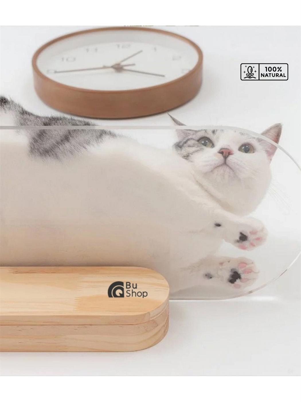 Modern Şeffaf Kedi duvar rafı BuShop Kedi atlama platrofmu   Ahşap Doğal Tasarım Salpa 20x60cm