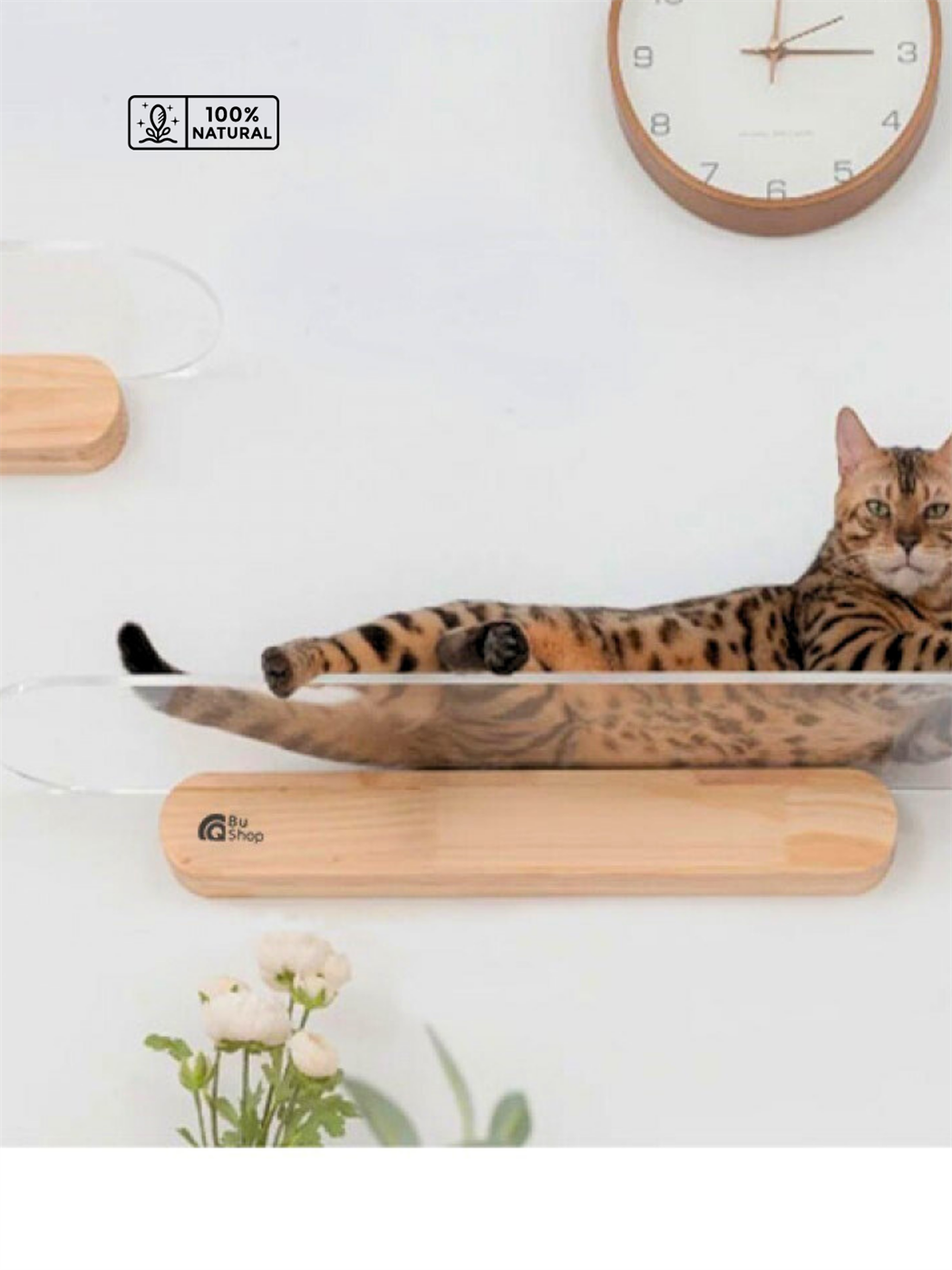Modern Şeffaf Kedi duvar rafı BuShop Kedi atlama platrofmu   Ahşap Doğal Tasarım Salpa 20x60cm