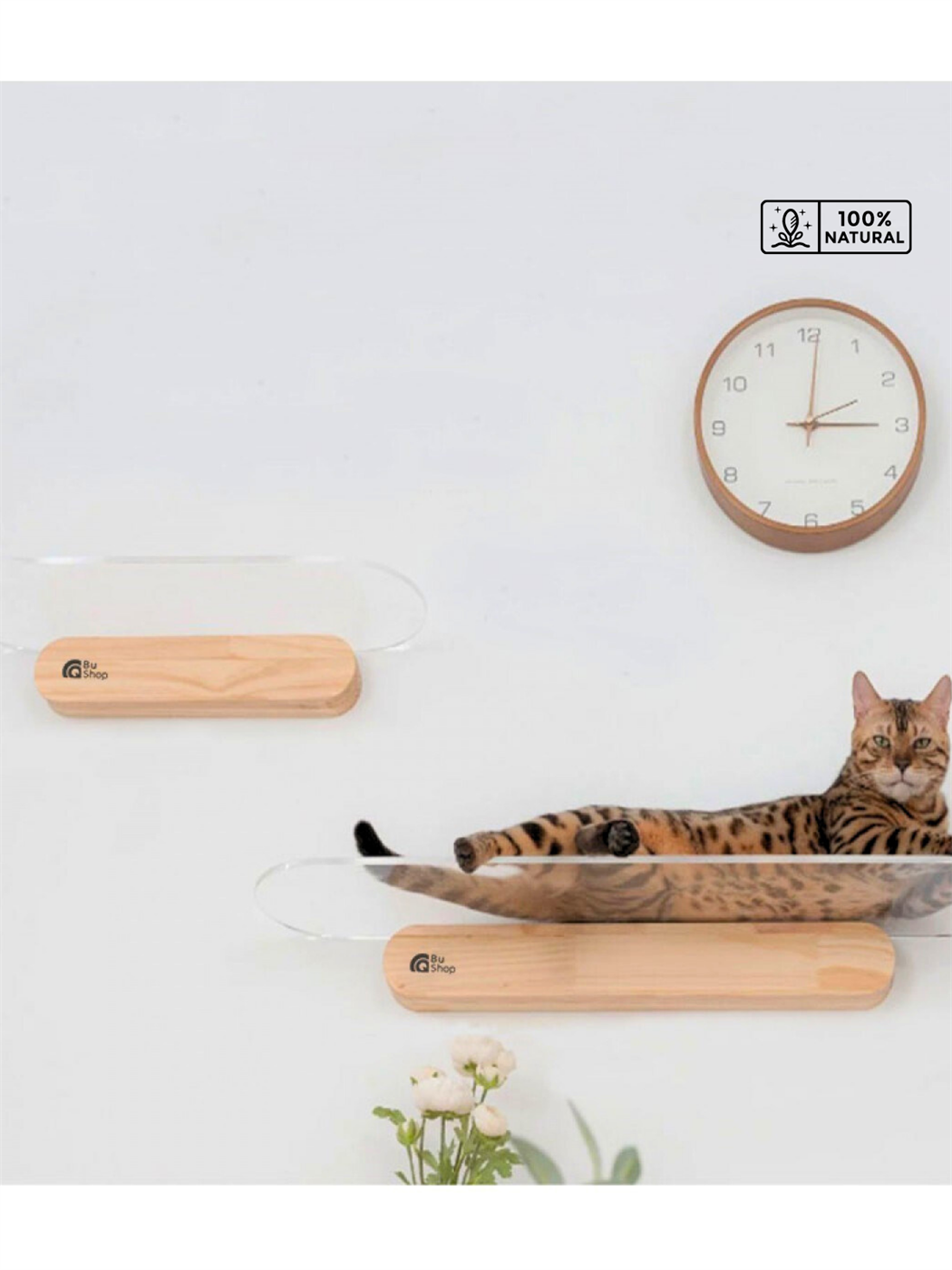 Modern Şeffaf Kedi duvar rafı BuShop Kedi atlama platrofmu   Ahşap Doğal Tasarım Salpa 20x60cm