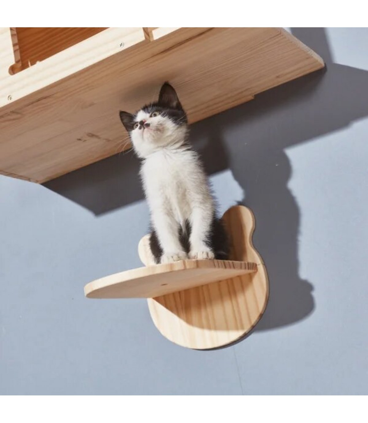 Kedi duvar rafı  Kedi atlama platrofmu BuShop Ahşap Doğal Tasarım Panda