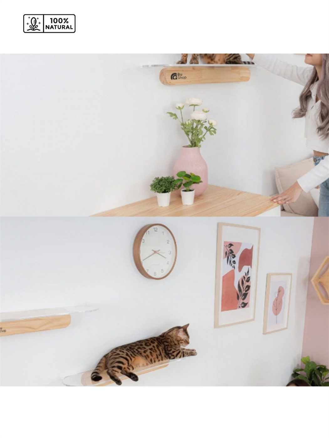 Modern Şeffaf Kedi duvar rafı BuShop Kedi atlama platrofmu   Ahşap Doğal Tasarım Salpa 20x40cm