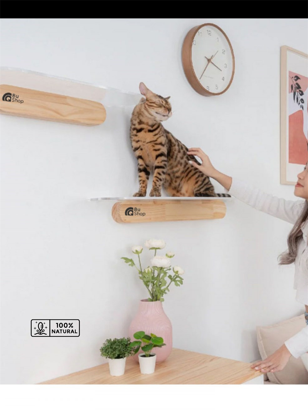 Modern Şeffaf Kedi duvar rafı BuShop Kedi atlama platrofmu   Ahşap Doğal Tasarım Salpa 20x40cm