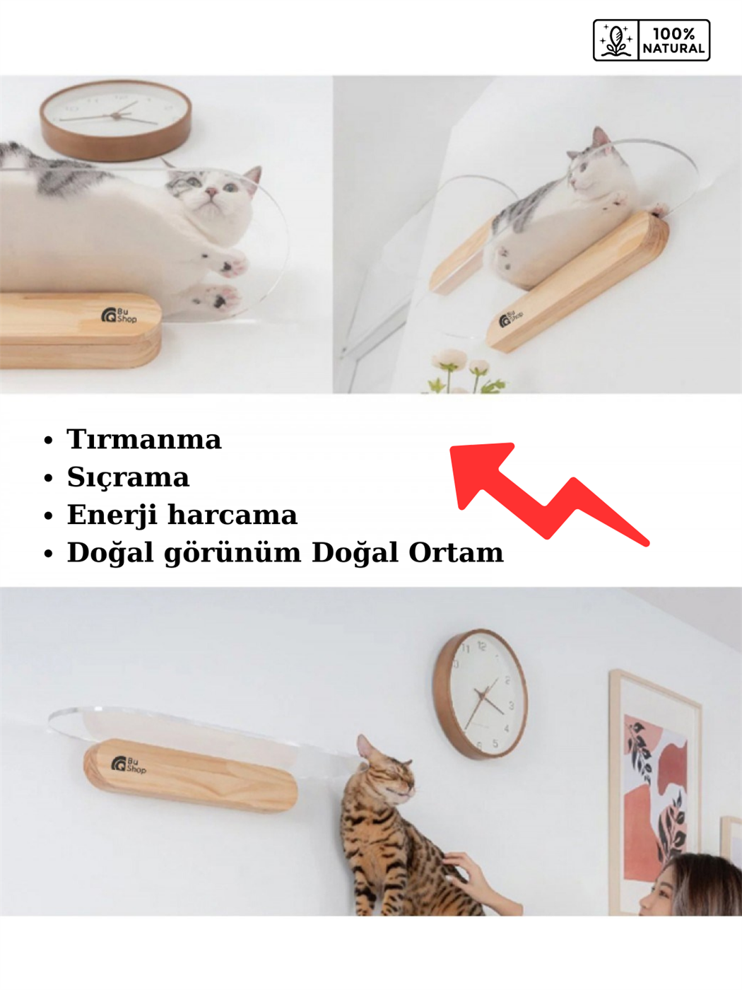 Modern Şeffaf Kedi duvar rafı BuShop Kedi atlama platrofmu   Ahşap Doğal Tasarım Salpa 20x40cm